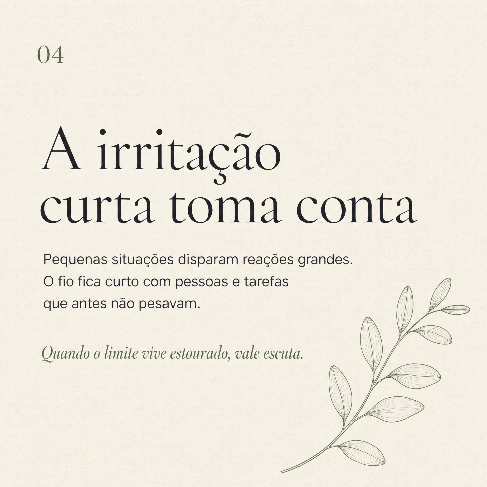 Carrossel · card 04